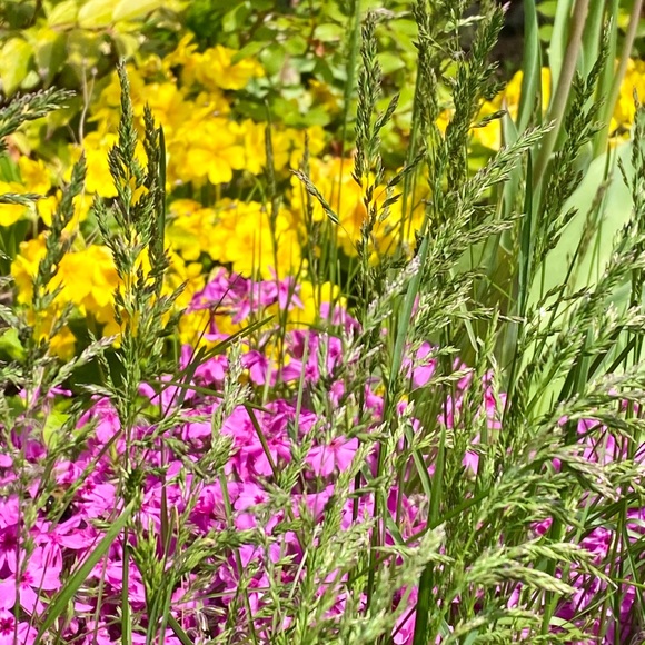 Meet your Posher, Jane - Picture 2 of 2